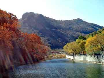 澳门二四六天天彩图库，医药化工